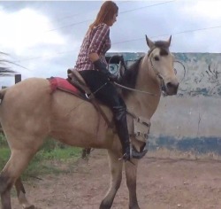 What is it that is sooo incredibly erotic about seeing a stiletto booted Female atop a beast with a whip in hand?