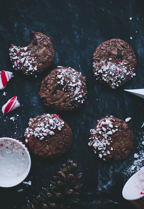 sweetoothgirl: Candy Cane Chocolate Cookies