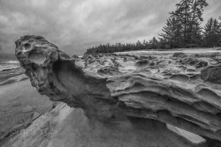 Oregon CoastMinor White&rsquo;s Wallhttp://en.wikipedia.org/wiki/Minor_Whitesupposedly White took his students to this location, for up to a week, and imaged these incredible rock formations as part of his approach to instructing composition -jerrysEYES