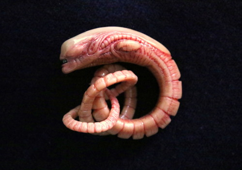 ianaustinartworks:Chestburster embryo. Removed from host before maturation. Sculpey, enamel, 2016.