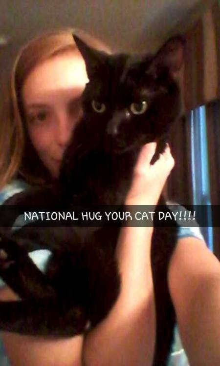 gamergirl19998:From Thursday -Happy national hug your cat day! 