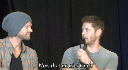 nothingidputbeforeyou:  Jared nearly sprains his face trying to lift one eyebrow until Jensen gets c