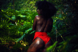 Eazyvisuals:jungle Fever;