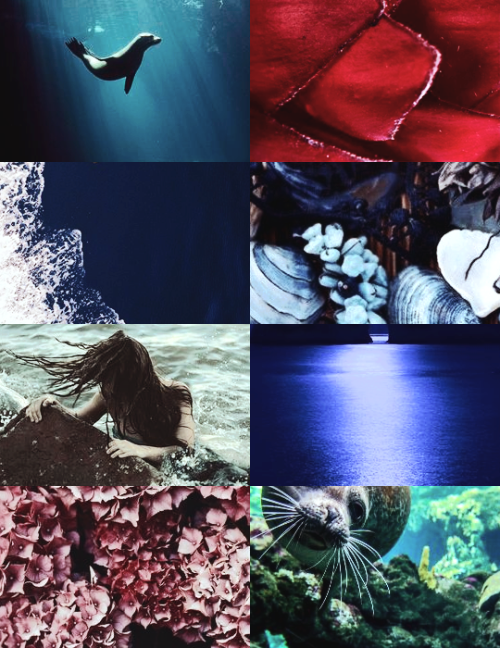 saoirse (song of the sea) aesthetic