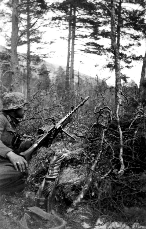 bag-of-dirt:  A German Gebirgsjäger (light infantry alpine or mountain troops) of the