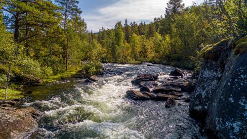 Norwegian Nature in September [OC][5464 × 3070] - Author: bazzo82 on reddit