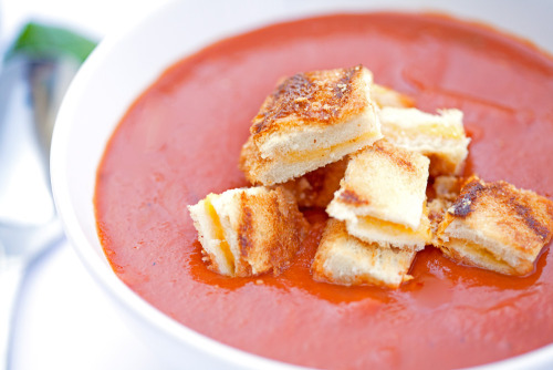 Porn Pics do-not-touch-my-food:  Tomato Soup with Grilled