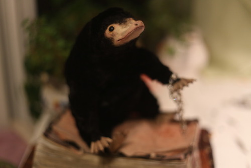 siffy:I made a life-size posable niffler to accompany Newt to Katsucon! This guy is so unbelievably 