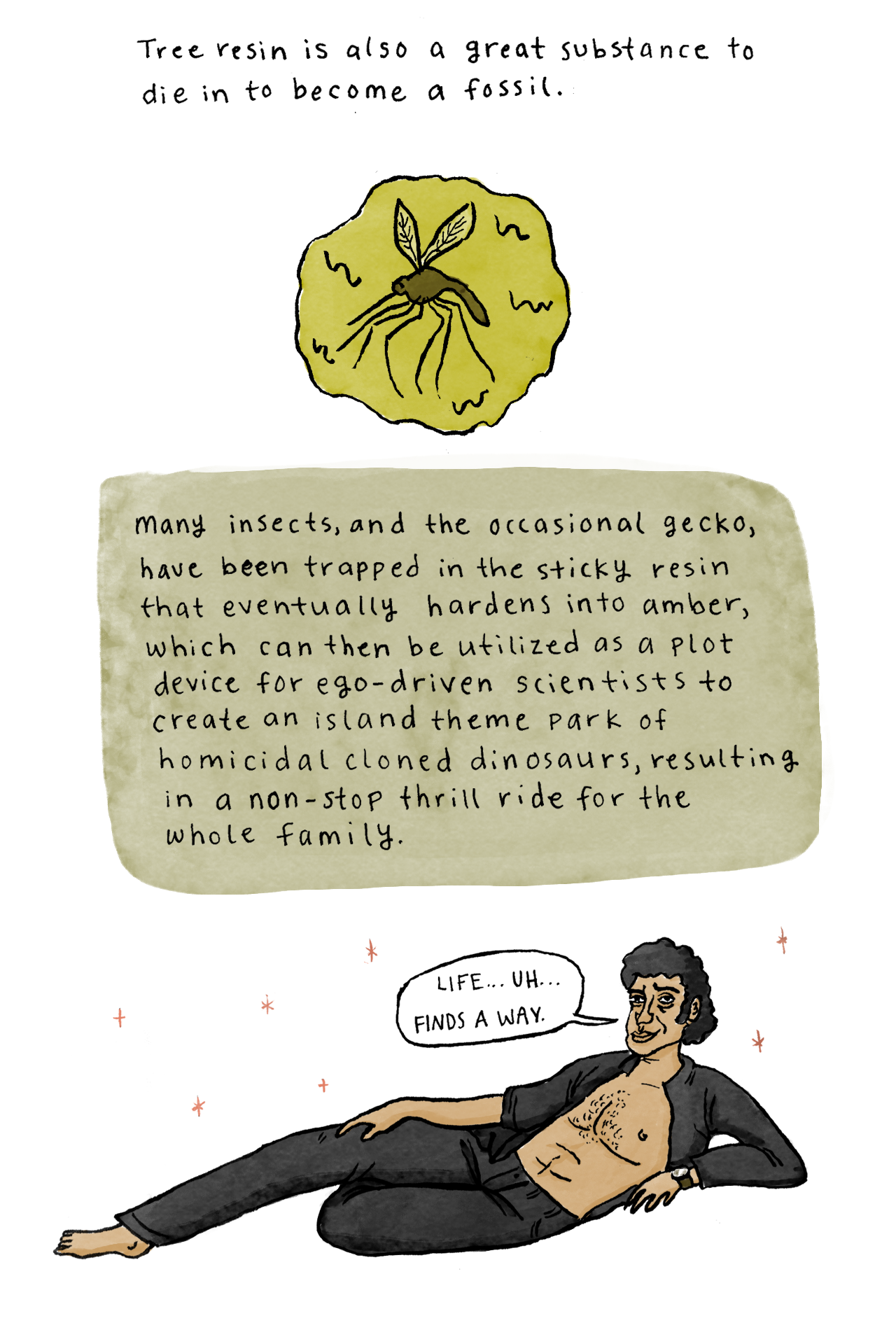 Fossils