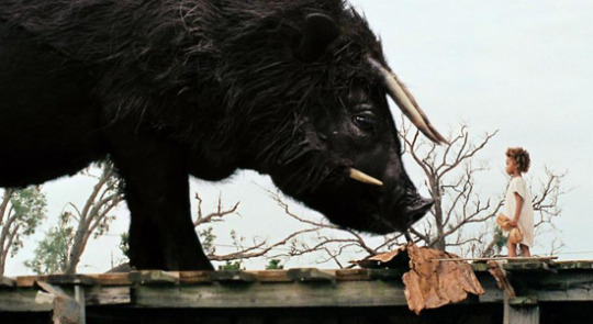 I feel like people need to know the Great Moose Truths.