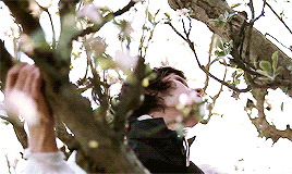 tumblr_p3j1mldB2J1w1gv1yo3_400.gif