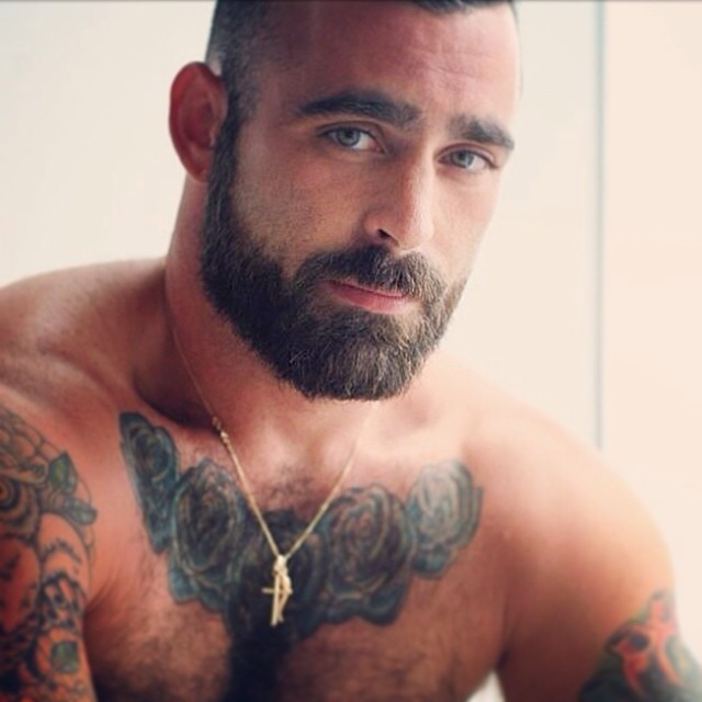 You Can't Spell 'Beard' Without 'Bear'