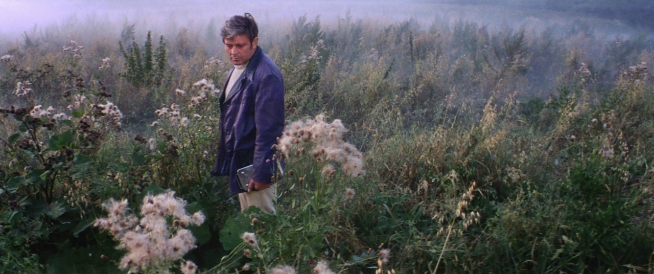 motioninpictures:  Solaris (1972) Director: Andrei Tarkovsky Director of Photography: Vadim