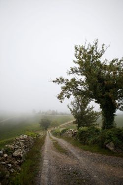 bonitavista:Tuscany, Italyphoto via cristina