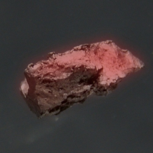 Element of the week: curium This week, we meet the element curium, which has the atomic symbol 