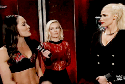 briebellasource:  Brie Bella + 2016 in WWE