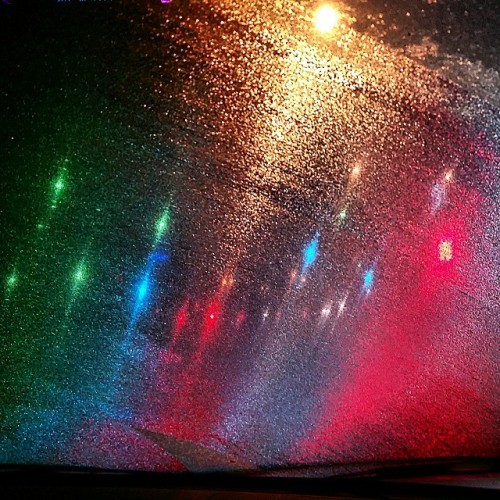 shelbysbutt: Windshield