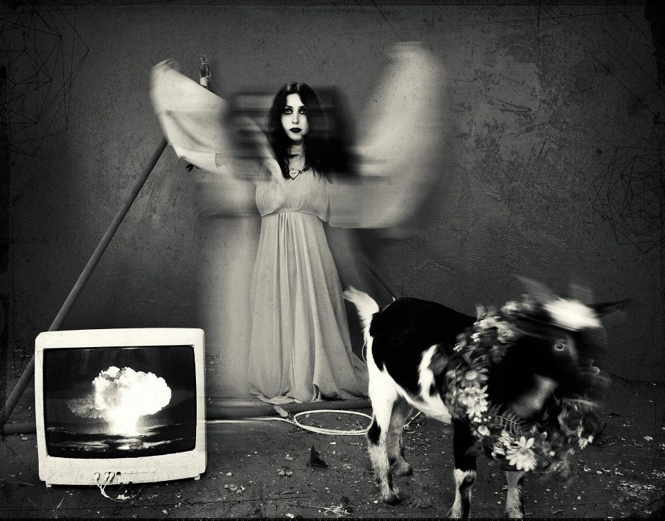 Chelsea Wolfe by  Darla Teagarden