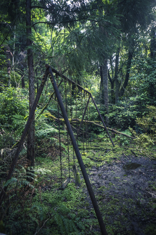 thefrogsapothecary: gitsandshiggles: elugraphy: Abandoned  playground in forest 02. @andreakont