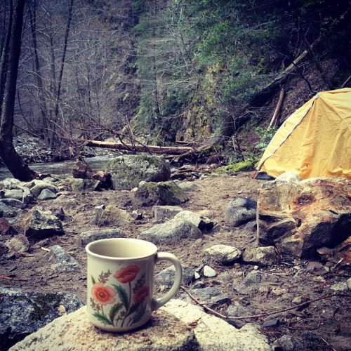 tangerine-treees: wake up~* (at big sur)