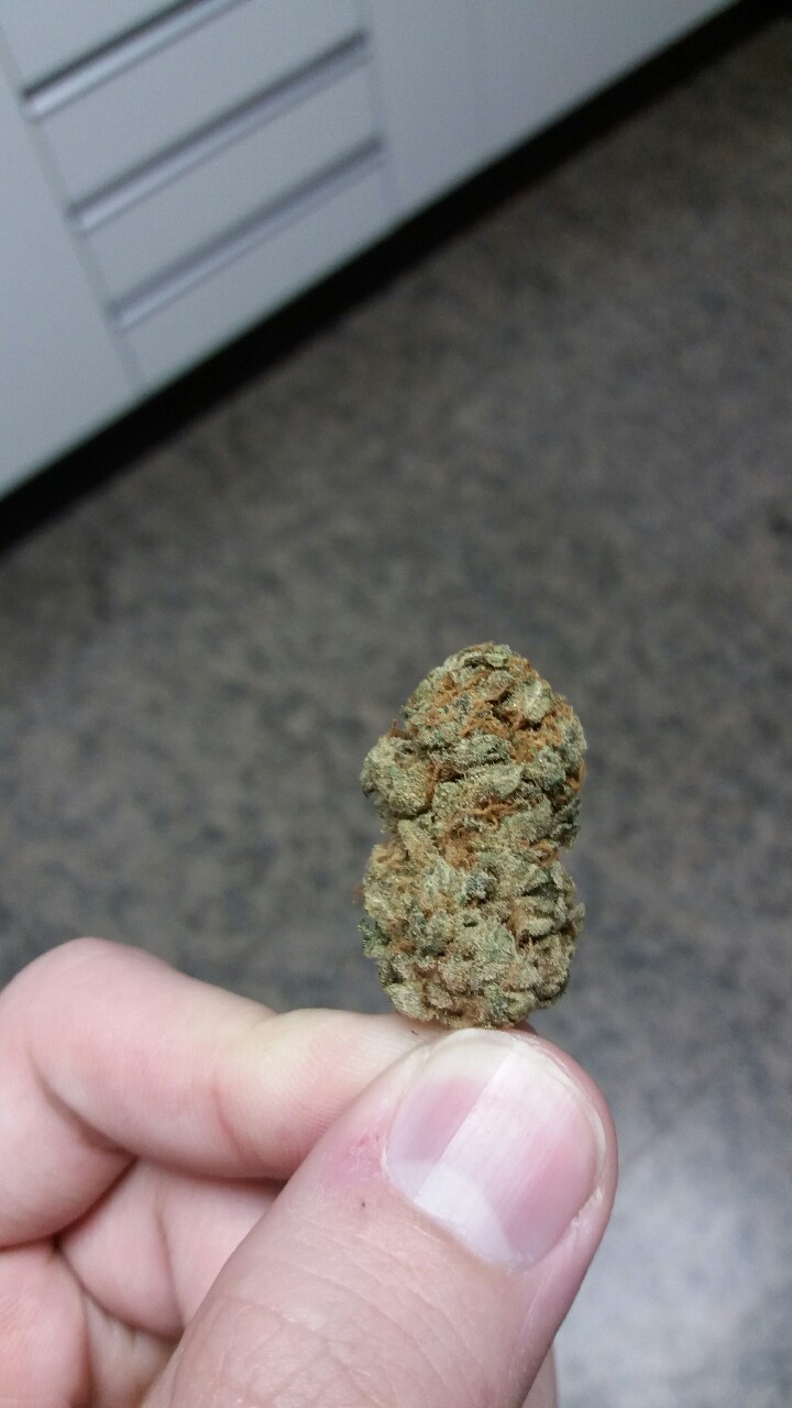 erotic-maryjane:  dopeassthings:  Last nug of cinderella 99… it was nice to meet