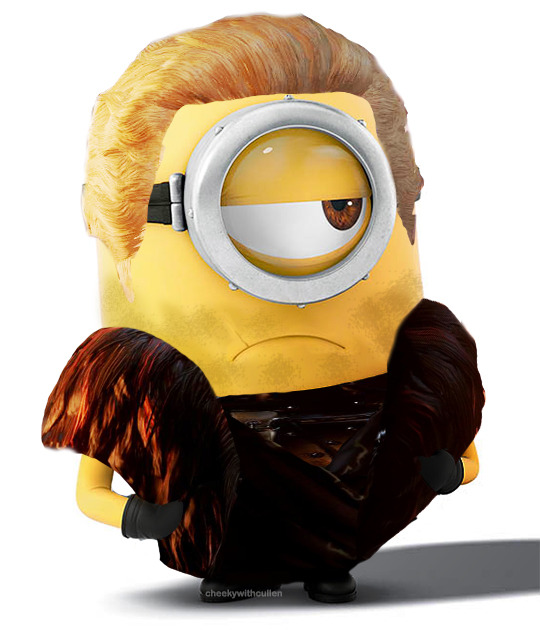 geeky-jez:  maebyrutherford:  the-assquisitor:  cheekywithcullen:  blimington-bear: