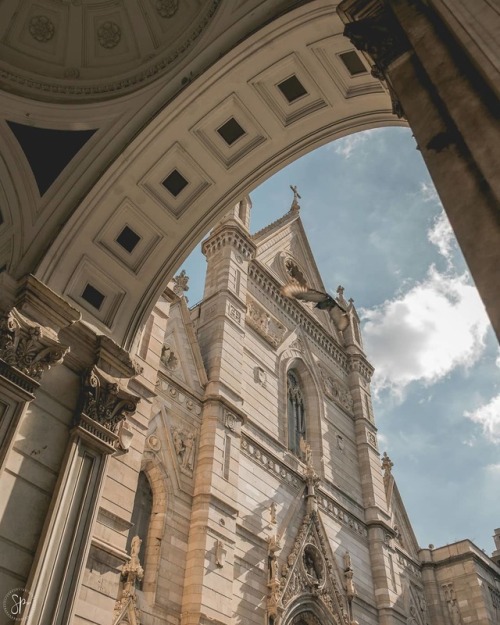 vivalcli:Duomo di Napoli, Napoli, Italia | cappuccinointheclouds