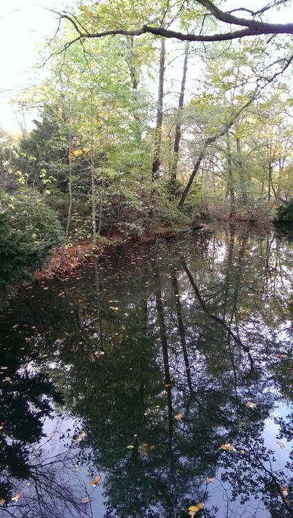 I spent 4 or 5 hours wondering around the Tiergarten today and decided I could stay there forever.