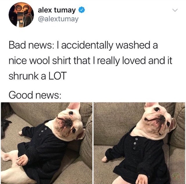 twitblr:  Give it to the good boy