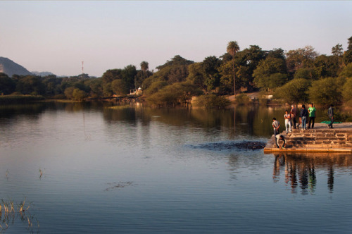 Locals feeding the sacred catfish in Kumbhalgarh, India.