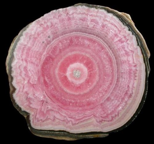 fuckyeahmineralogy:  These are all cross sections of stalactites, which occur when minerals form in long, tube-like shapes. They typically form in caves or hollow spots in rocks where they have plenty of room and time to grow.  Featuring amethyst (SiO2),