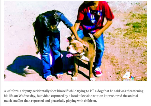 groans:  kids0ftheblackhole:  good  i like this story because a cop was shot but nobody will get in trouble for shooting the cop and some children got to calmly play with a dog 