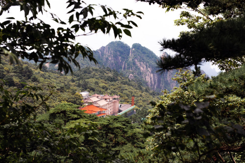 huangshan, chinain our final shanghai days we embarked on a super spontaneous weekend trip to huangs