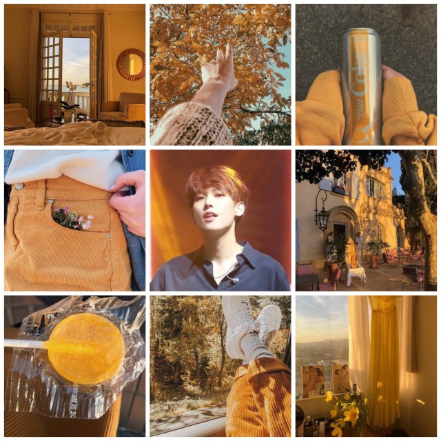 #inseong aesthetic on Tumblr