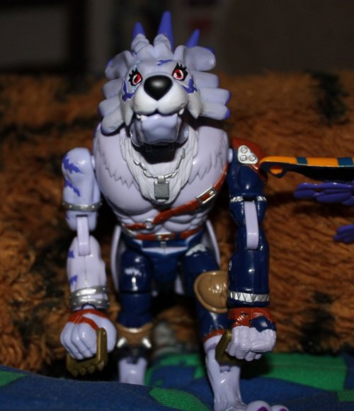 luciafarul:  Garurumon/WereGarurumon and Greymon/MetalGreymon digivolving figurines (I just realized with these pictures how Weregarurumon’s eyes aren’t at the same height..)