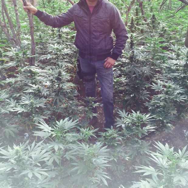 Green season