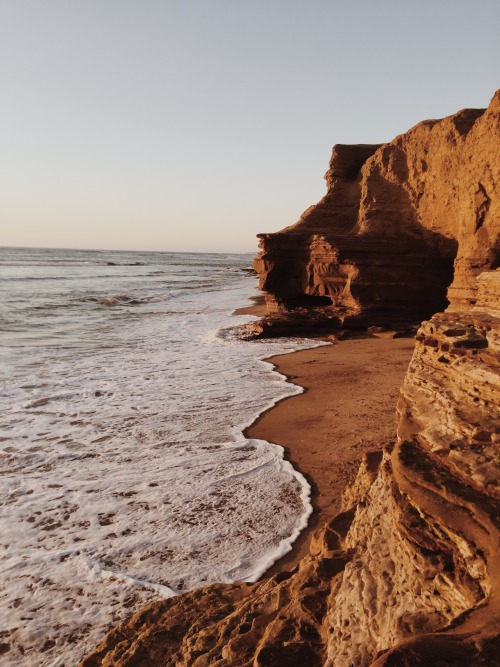 danielodowd:  http://ellekendall.vsco.co/