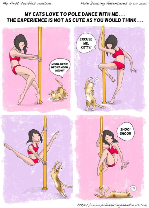 A cute image and some pole news !!!!!! In 2 week it&rsquo;s gonna be a dance week at my pole studio.