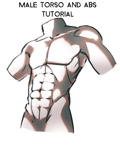 Simple form break down abs  Drawing References