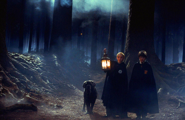 woodland-faeries:  Harry Potter is life.