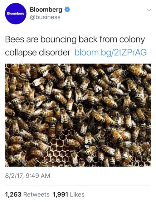 witchyrem-ains: weavemama: weavemama: BEES ARE THE ULTIMATE QUEENS OF THE COMBACK Source to article.