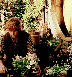 vaes:For all hobbits share a love for things that grow.