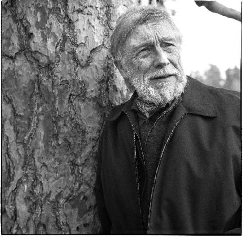 journalofanobody:  “Nature is not a place to visit. It is home.” ― Gary Snyder