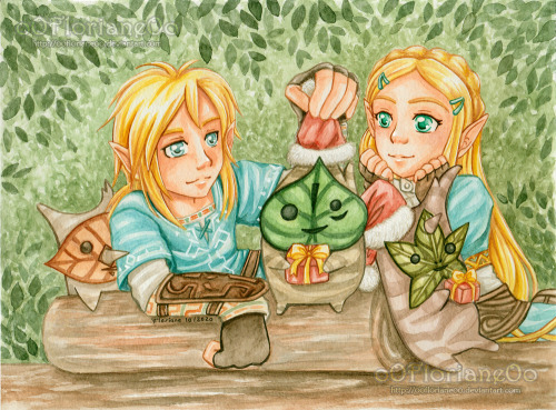 Happy Merry Christmas to everybody!Here is ma Christmas Card for this year. The Legend of Zelda Brea