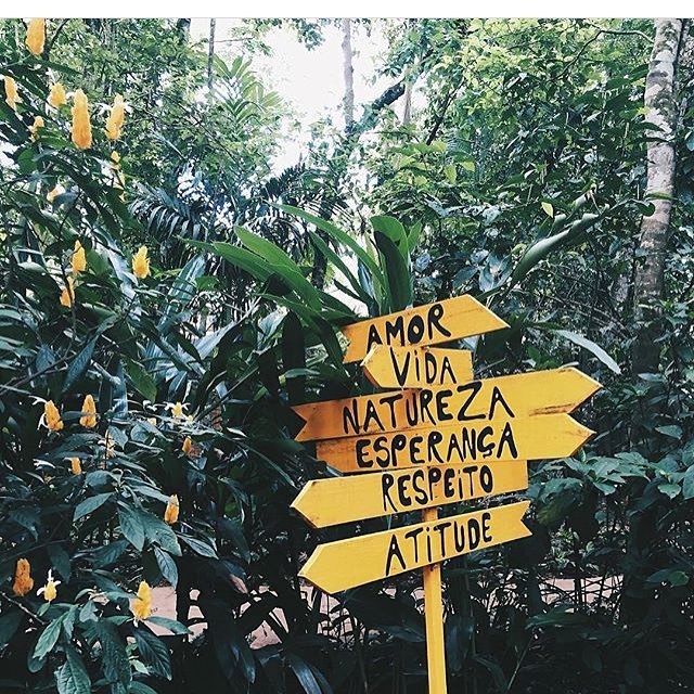 foda-se