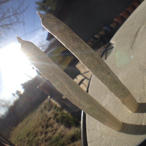 marihuanalegal:  🎶I smoke two joints in the mornin- I smoke two joints at night!…