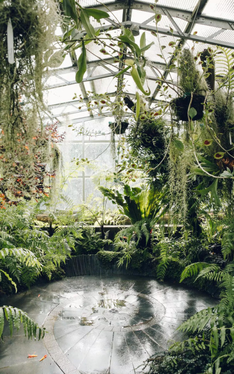 keepingitneutral:University of Oxford Botanic Garden, Oxford UK© Haarkon