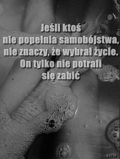 kocham ciapka