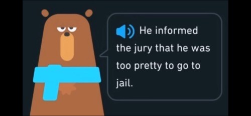 Bros As Random Duolingo Sentences