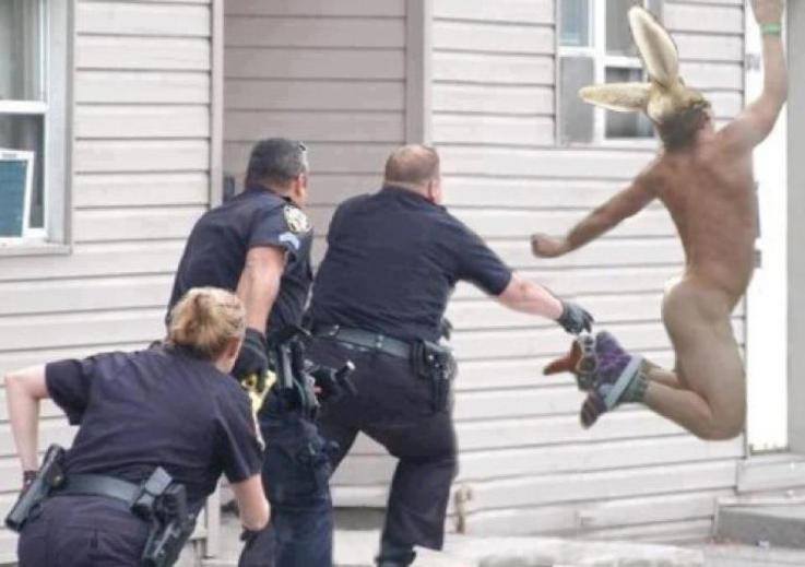 Funny happy easter bunny